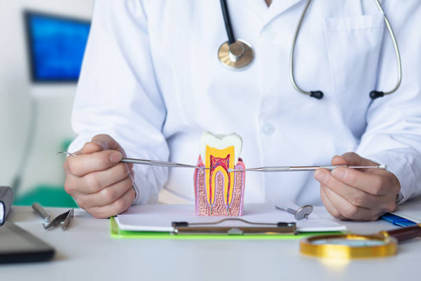 Best Emergency Gum Pain Relief  in Lexington, WA